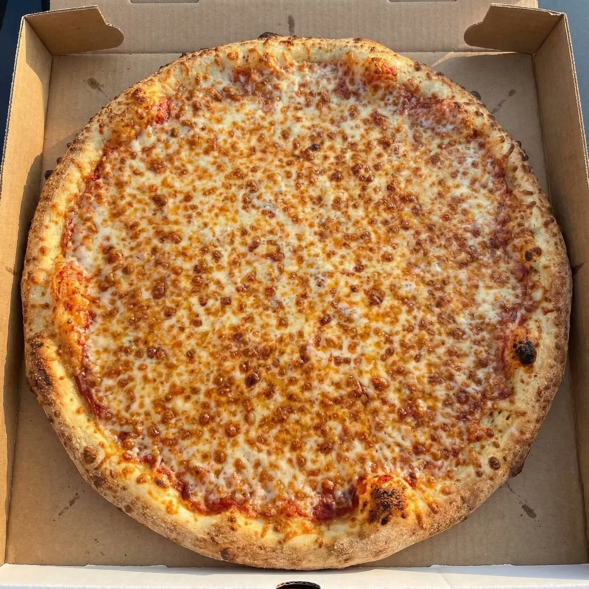 Cheese pizza at Pizza Loco in Sherwood Park, AB